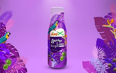 anyX 山竹果汁品牌包装策划